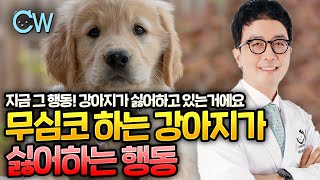 지금 하고 있는 그 행동! 강아지가 싫어하는 행동이에요