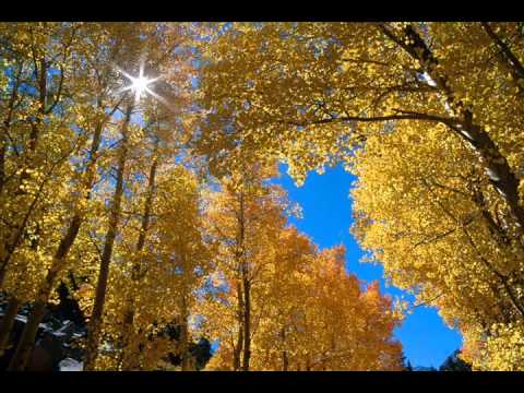 Aleksandar Aca Karadžin - Jesen - Izvođač Mihailo Oneščuk