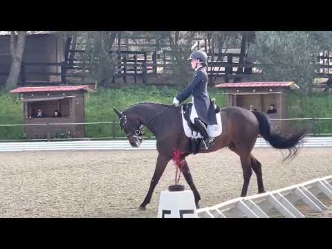 CDI- young rider Individual - Nicole e Funji