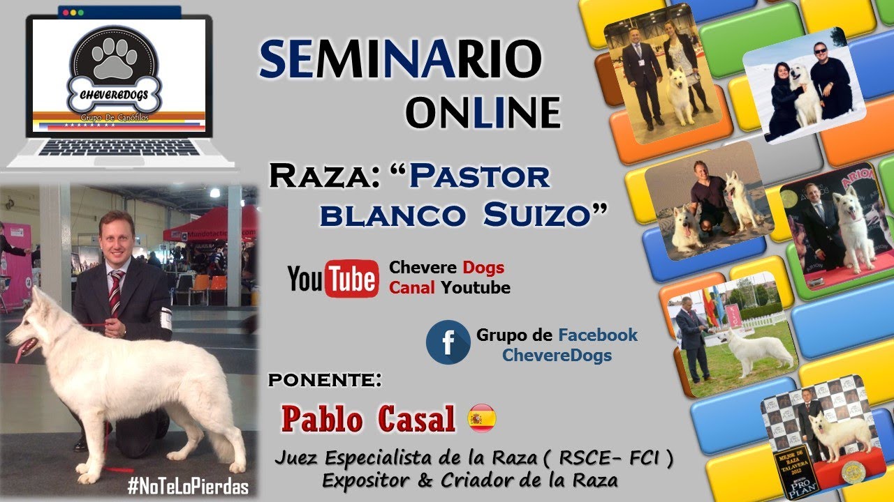 Watch PASTOR BLANCO SUIZO | SEMINARIO ONLINE | FEAT. PABLO CASAL | #CHEVEREDOGS Now PASTOR BLANCO SUIZO | SEMINARIO ONLINE | FEAT. PABLO CASAL | #CHEVEREDOGS