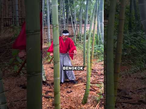 Kenapa Pemula Sulit Menggunakan Katana?