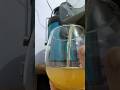 Review Juicer Bolde Tanpa Ampas Besok Bikin Jus Apa Yaa