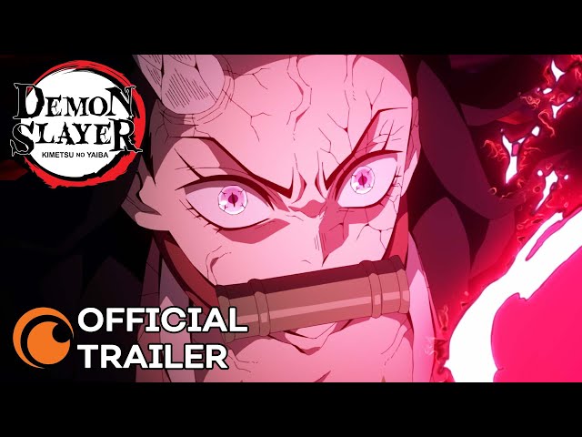 Demon Slayer: Kimetsu no Yaiba Hashira Training Arc