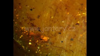 Druhohorní jantar z Myanmaru JKI-15