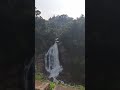 valara waterfalls idukki വാളറ വെള്ളച്ചാട്ടം @vishnuprasadsvloger