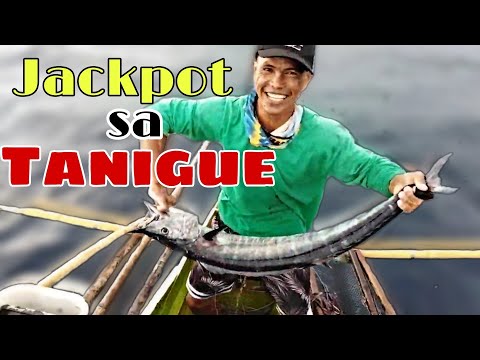 JACKPOT: CATCHING WAHOO/TANIGUE USING BUYA-BUYA/TRADITIONAL HANDLINE FISHING #tanigue #wahoo