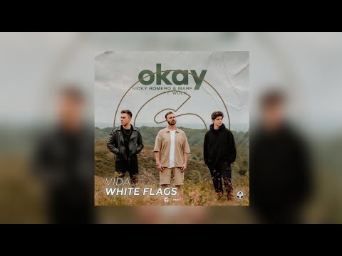 [5/5] Okay Flags Heart (DJ Bau Mashup) [Special 5 Years] - Vida vs. Nicky Romero...