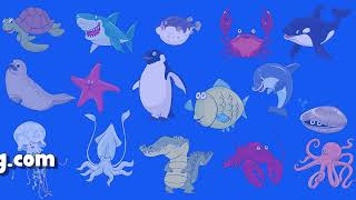 1. Aquarium animals 1 - FED Tháng 2