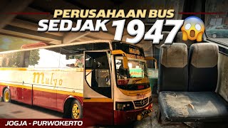 Download lagu FIRST TIME RIDING MULYO BUS, SO NOSTALGIC‼️Trip Jogja - Purwokerto with MULYO mp3 Download lagu FIRST TIME RIDING MULYO BUS, SO NOSTALGIC‼️Trip Jogja - Purwokerto with MULYO mp3