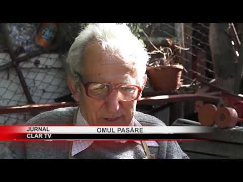 stire 02 12 2020 Omul pasăre