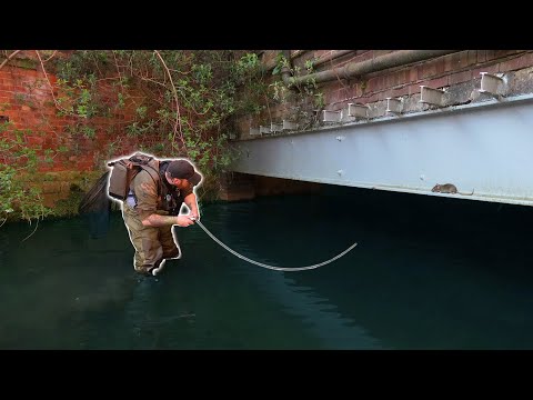 I Went Under The City For BIG TROUT