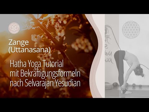 Zange (Uttanasana) mit Bekräftigungsformel - Hatha Yoga Tutorial für Anfänger & Wohlbefinden