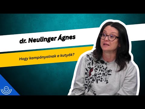 Pirkadat: dr. Neulinger Ágnes – Hogy kampányolnak a kutyák?