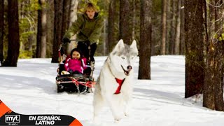 EL CAN DEL ABUELO | PELICULA DE AVENTURA EN ESPAÑOL LATINO