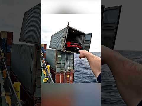 Shipping Container Falls into the Ocean.