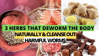 3 Herbs That Can Deworm Your Body Naturally & Clear Out Worms