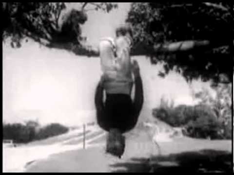 Real Academia vs Beastie Boys - Hey Hey Okocha (MashUp)