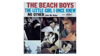The Beach Boys ~ The Little Girl I Once Knew