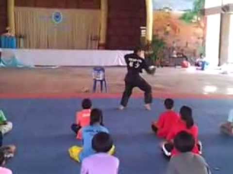 Shaolin Golden Tiger