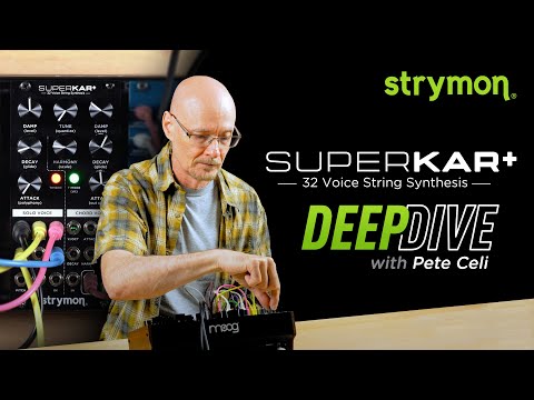 Strymon SuperKar+ image 2