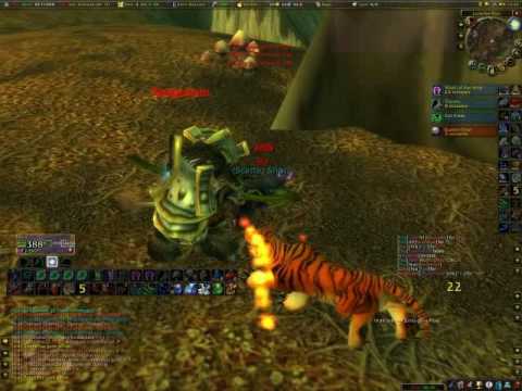 A Look At Druid Class - Vanilla WoW