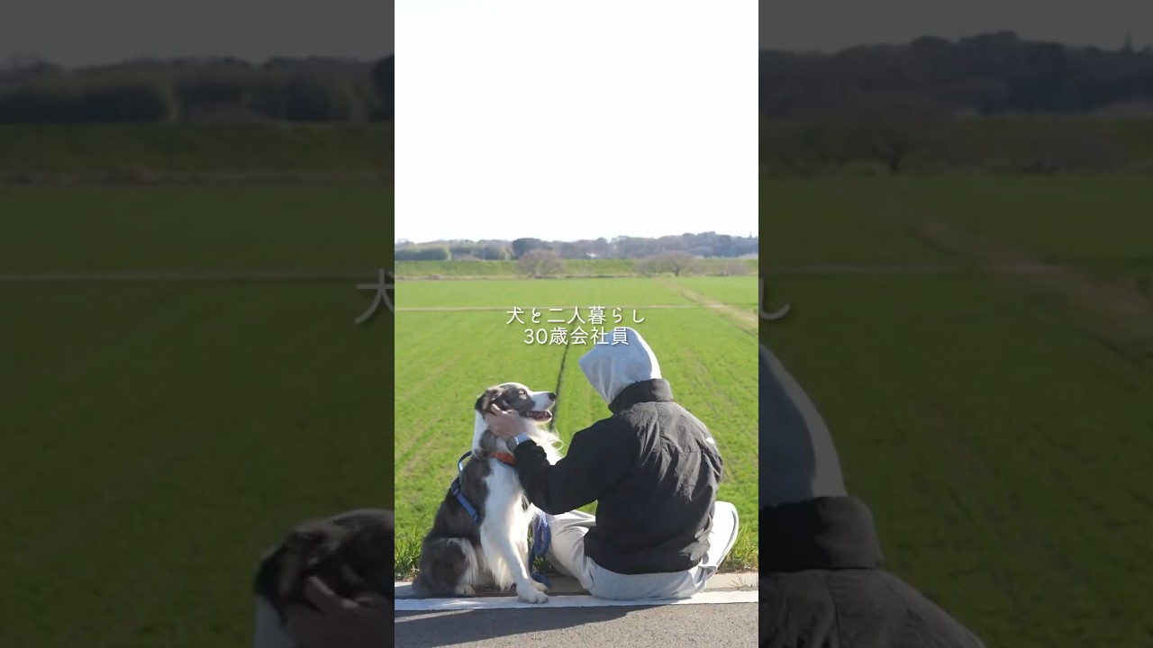 愛犬と旅するモーニングルーティン☀️