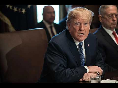 Trump official turns in DISASTER performance on national TV