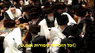 שמחת הברית לנכד האדמו״ר מבעלזא - שלמה נפתלי אלחנן רוקח | ח"ג