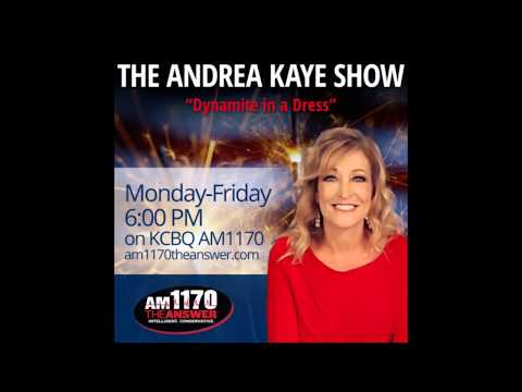 Steve Miller, President/Founder of getdismissed.com, featured on AM 1170 The Answer on The Andrea Kaye Show – January 11, 2018