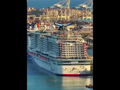 Thumbnail for MV Carnival celebration in Miami #carnivalcruise #portmiami #cruiseship #travel