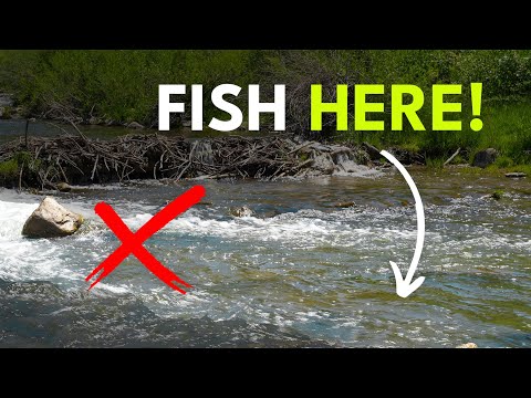 How To Find Trout In A River — Pocket Water 101