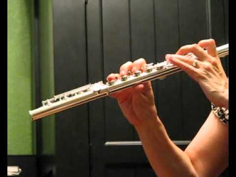 Di Zhao 700 Professional Flute Response Test