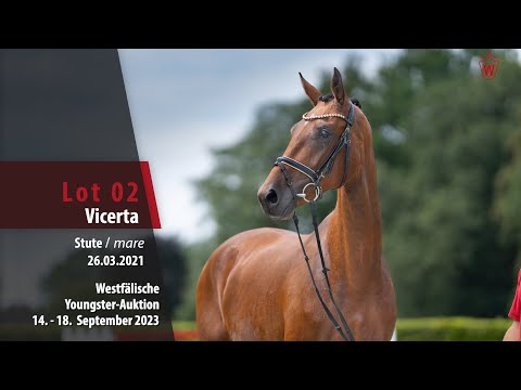 Youngster-Auktion Lot 02 Vicerta Stute v. Viconte - Sir Donnerhall I
