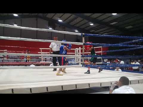 Antoni reyes boxeo