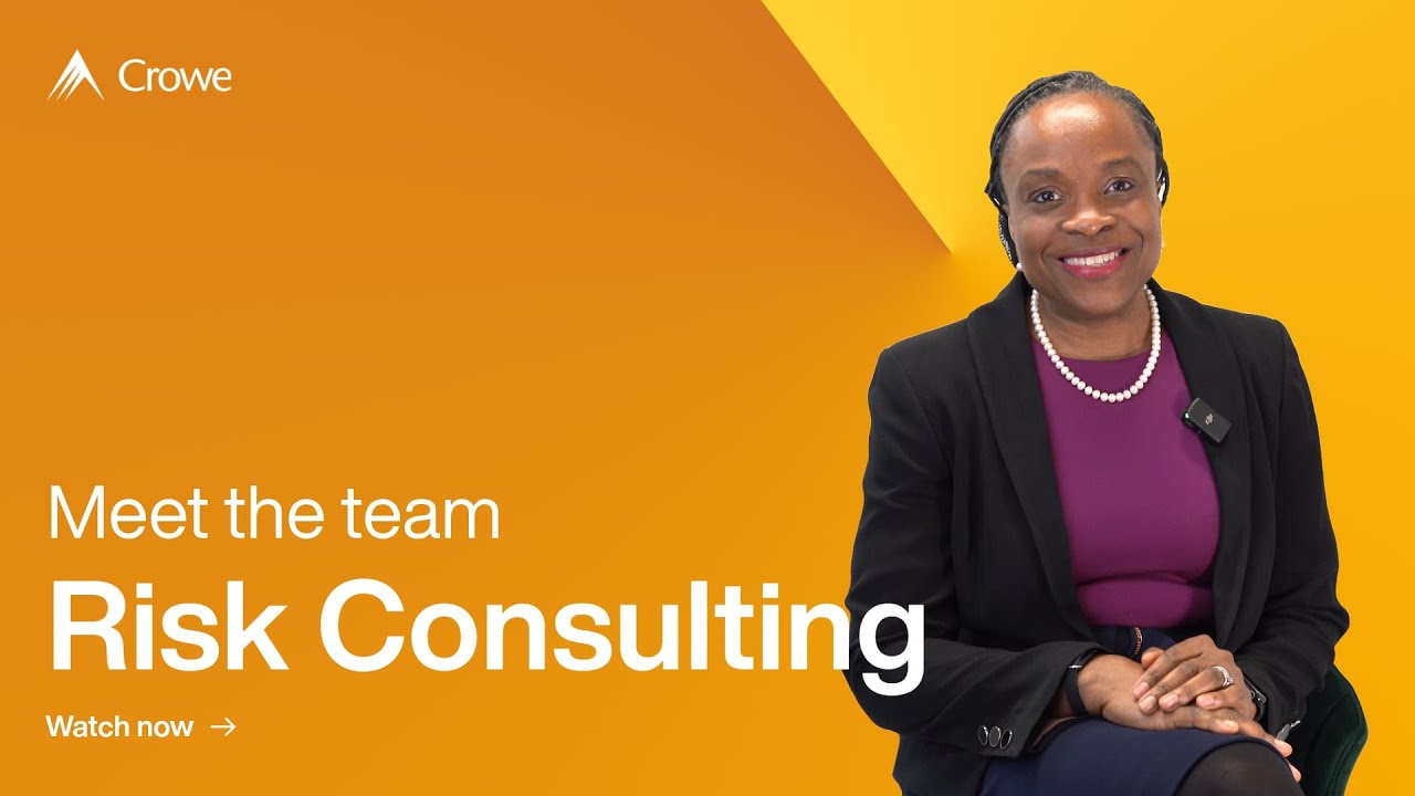 Meet the Team - Risk Consulting