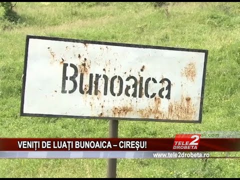 VENIȚI DE LUAȚI BUNOAICA – CIREȘU!