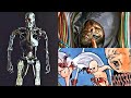 T-700 Terminator: The Dark Evolution of Skynet’s Machines