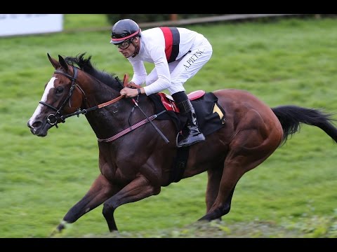 Krefeld: Preis von Cavaillon (D) - Siegerin: Donna Doria