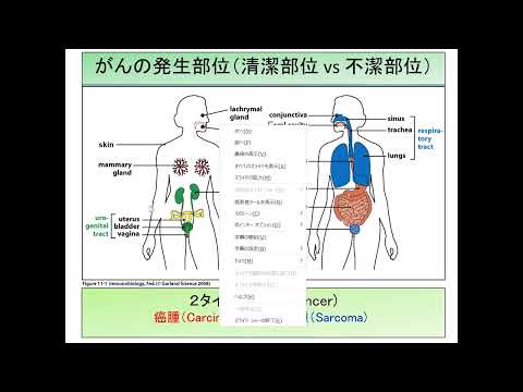 人文社会科学科 2023　医学科⑦模擬授業「がんの生い立ち　どこに・いつ・どうしてできるの？」　医学部長・病理学講座　教授　降幡　睦夫