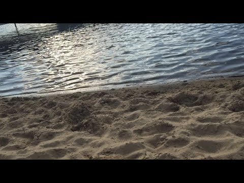 swimer x cheatz - squad