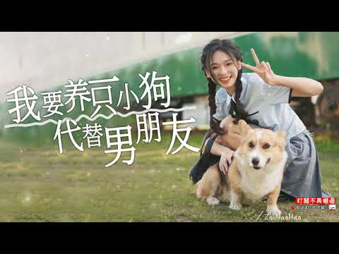 我要養一隻小狗