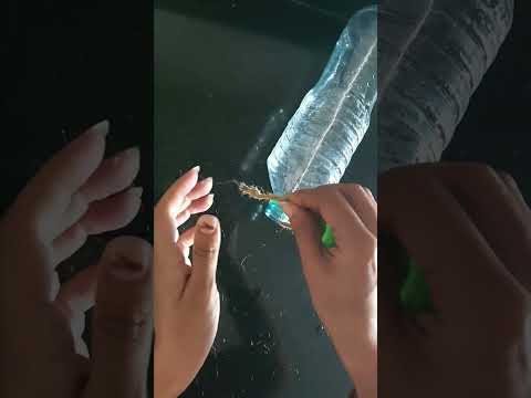 Water Plants While On Vacation| Self Watering System For Your Plants Easy Hacks Gujrati