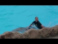 Dance Fish Sat Samundar Par