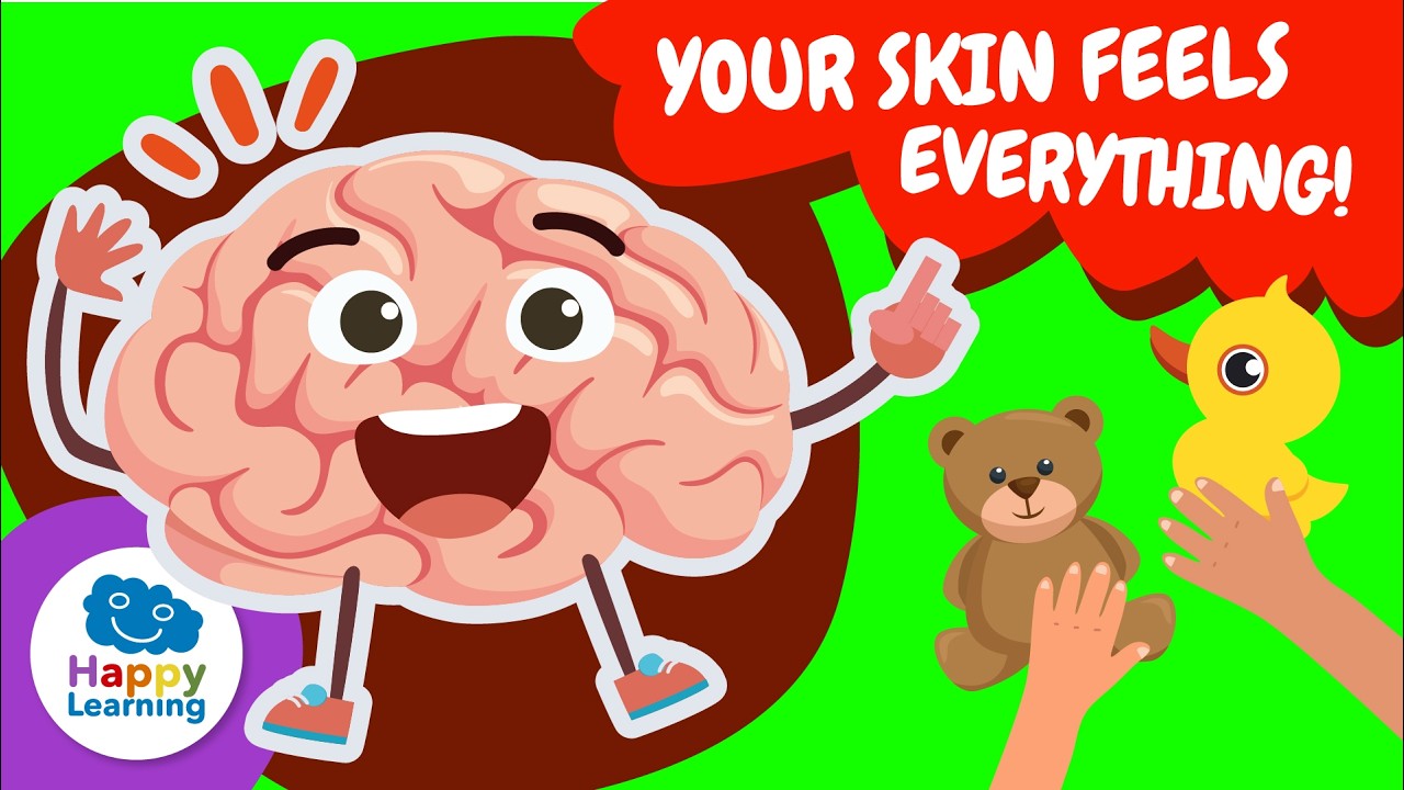 ✋ The Amazing SENSE OF TOUCH | How Your SKIN Feels. Educational Videos for Children @HappyLearningEN