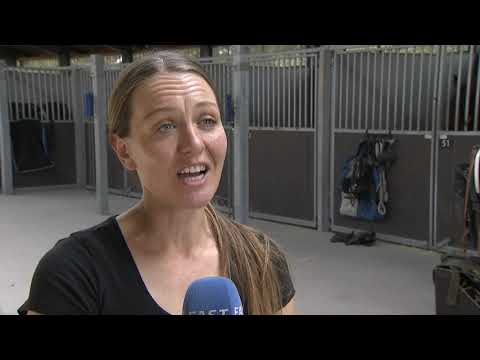 Marianne Mechlenburg fortæller om Feba i Dansk Hoppe Derby