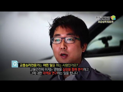 교통심리전문가