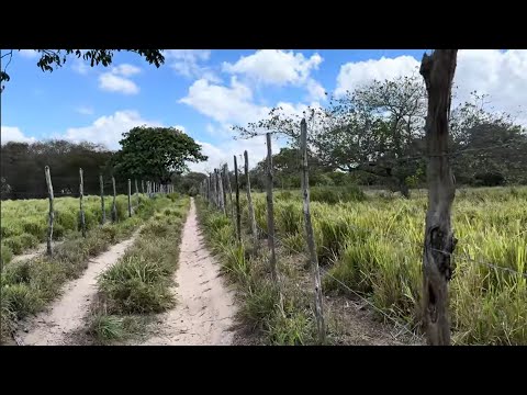 SITIO LAGOA DE PEDRA ZONA RURAL DE JACARAÚ-PB