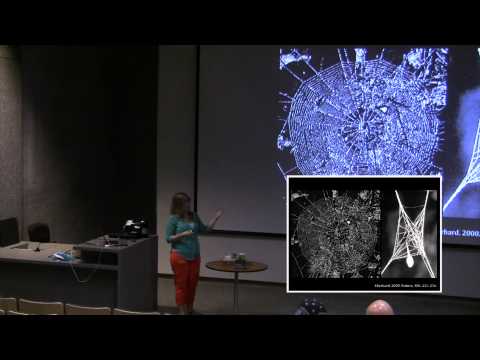 Parasites are Way Cool Because...