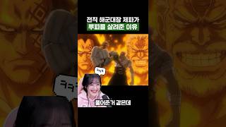 원피스) 전직 해군대장 제파가 루피를 살려준 이유 #원피스
