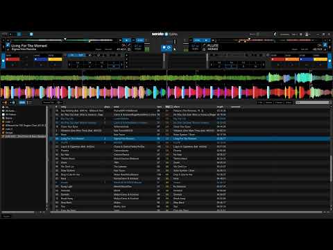 Living For The Moment(Sigma/Yola Recoba) x FLUTE(MONSS)